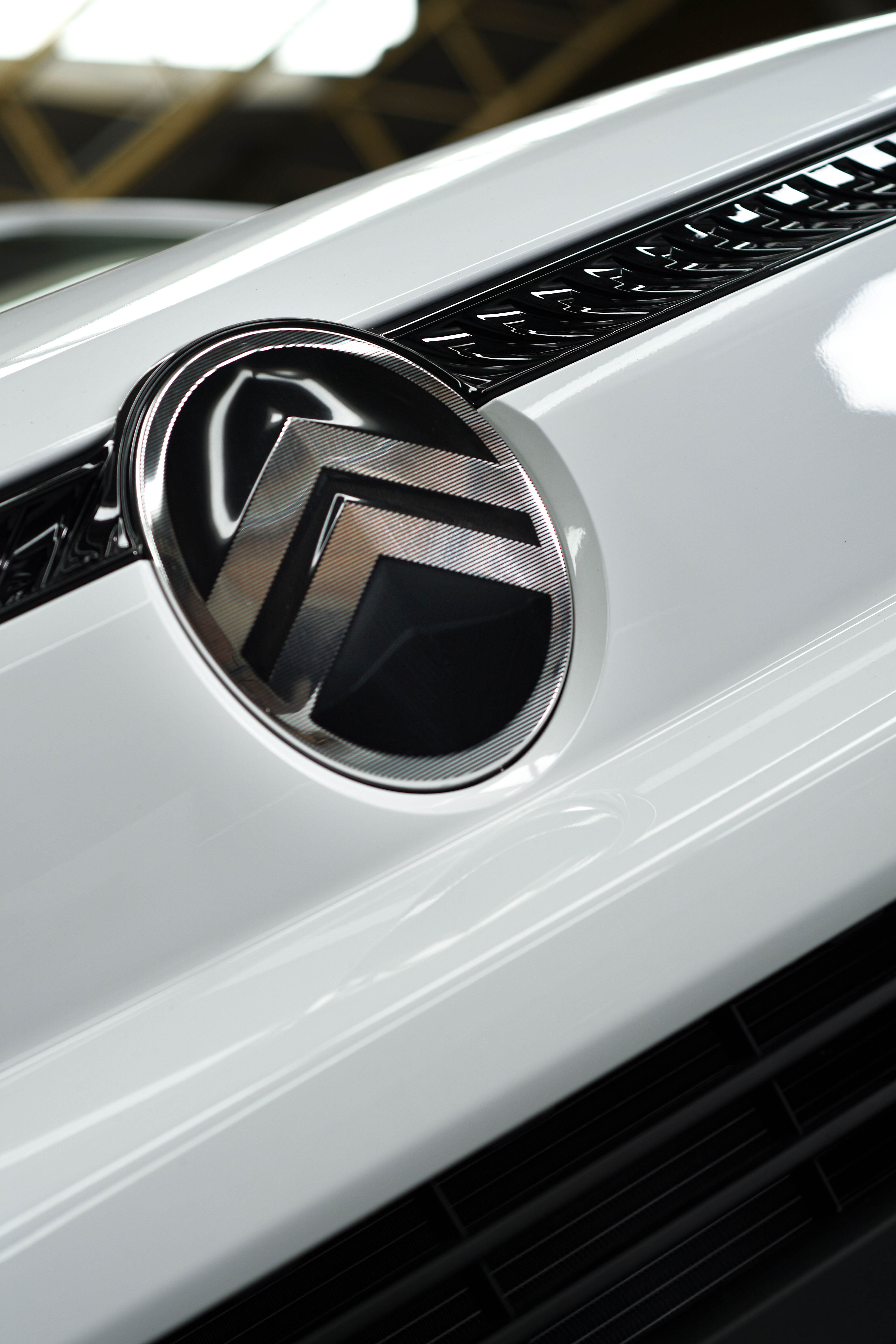 Emblema Citroën en la carrocería